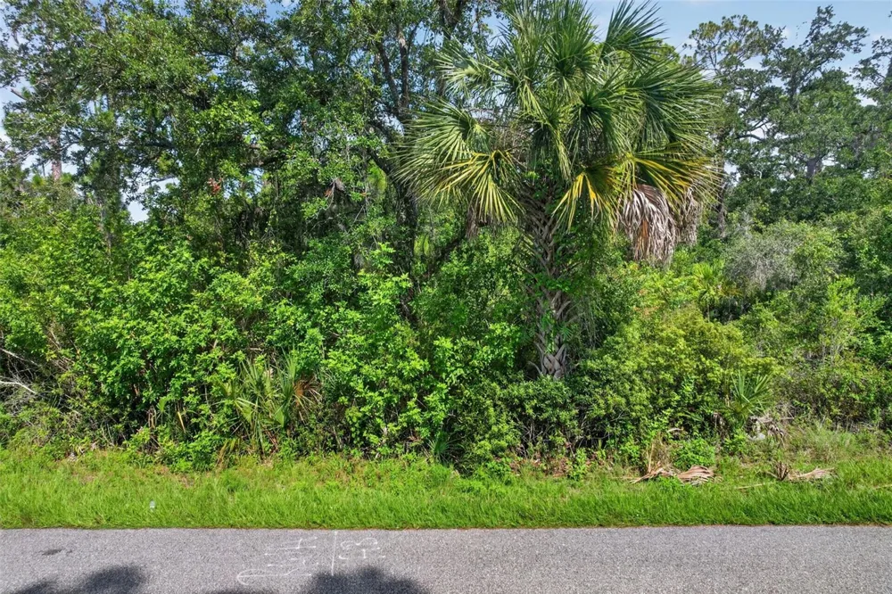13544 IRWIN DRIVE Port Charlotte, FL 33953