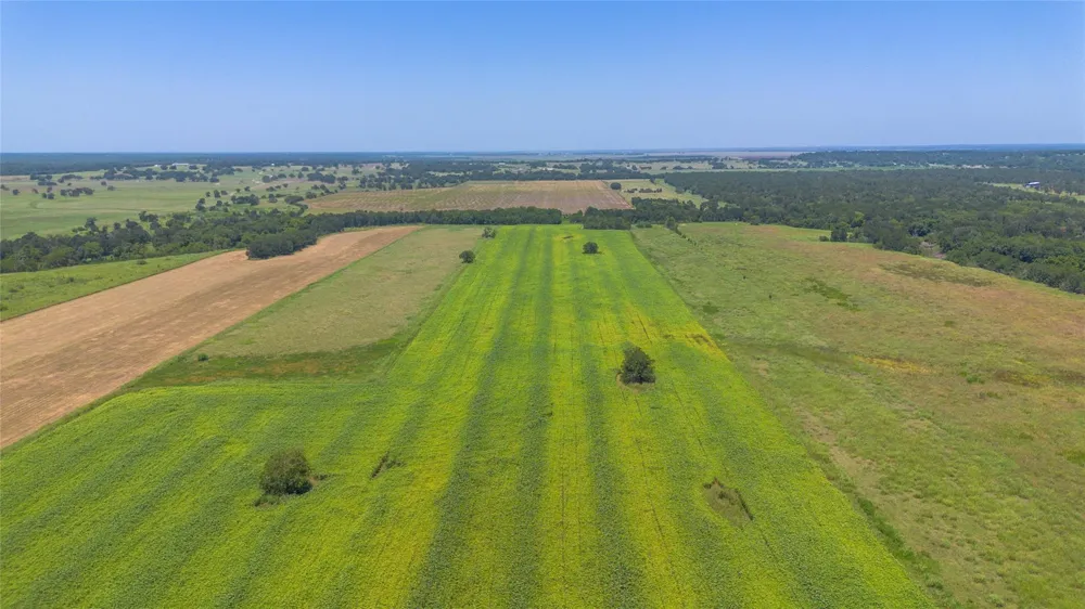 Devault Lane Brenham, TX 77833