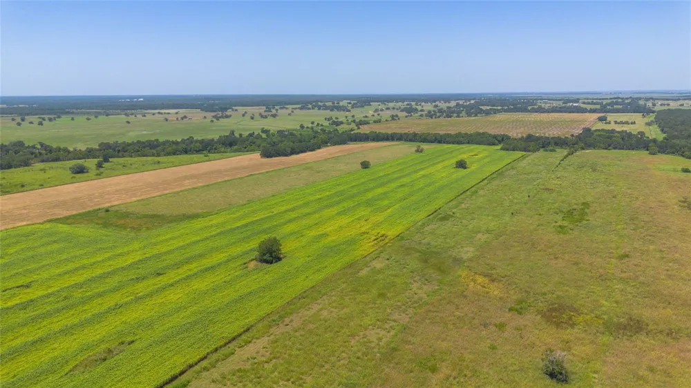 Devault Lane Brenham, TX 77833