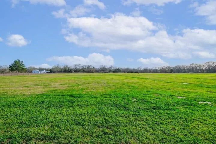 139 Jay Lane Bellville, TX 77418
