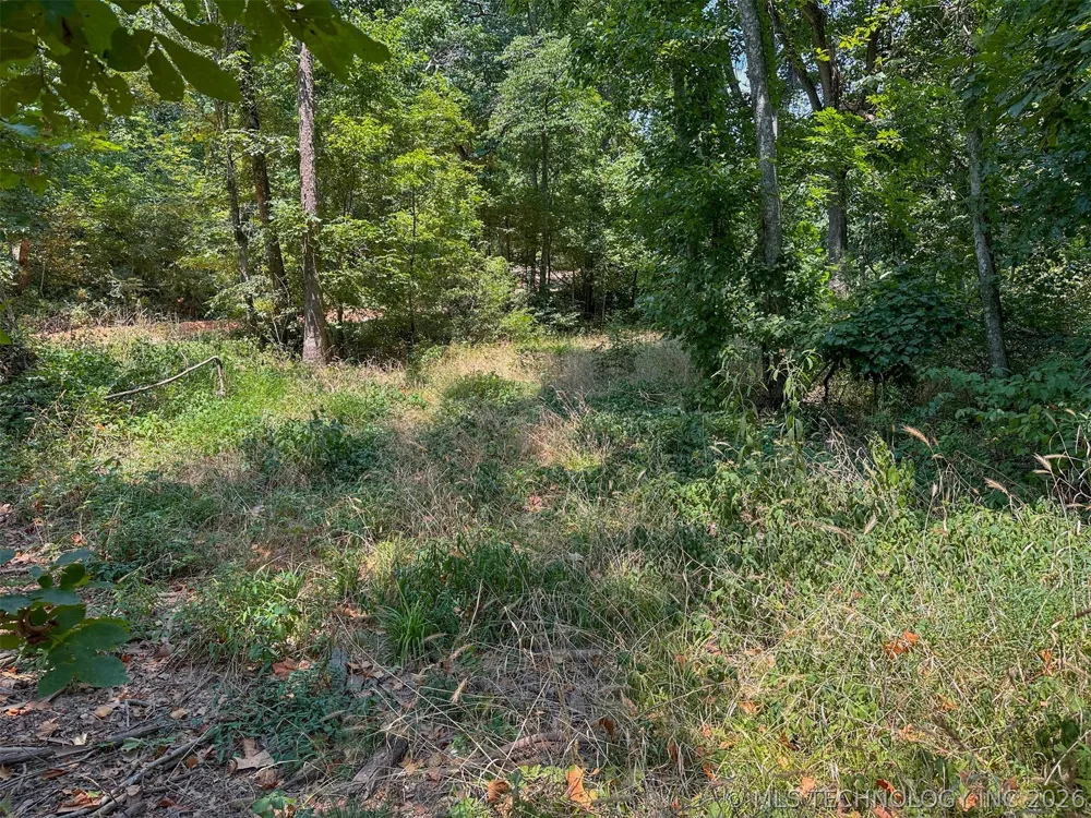 180 E Wyandotte Road Wyandotte, OK 74370