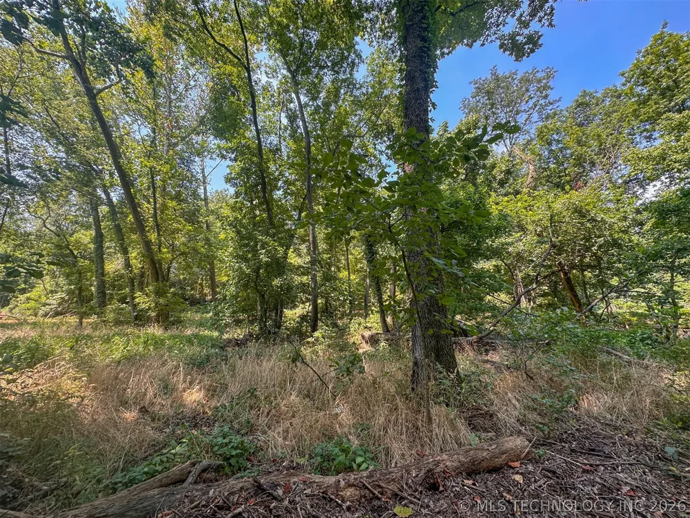 180 E Wyandotte Road Wyandotte, OK 74370