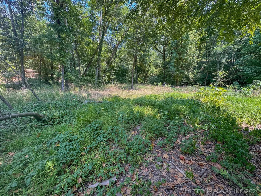 180 E Wyandotte Road Wyandotte, OK 74370