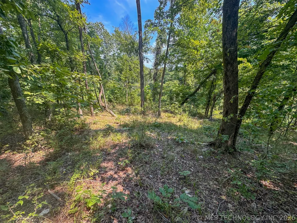 180 E Wyandotte Road Wyandotte, OK 74370