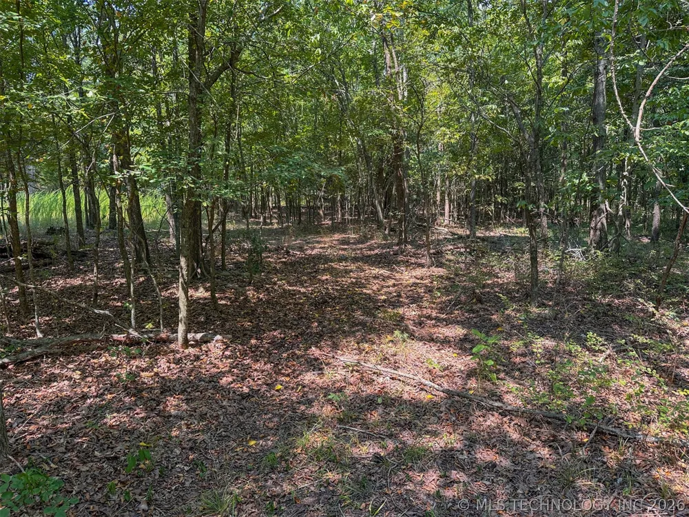 180 E Wyandotte Road Wyandotte, OK 74370