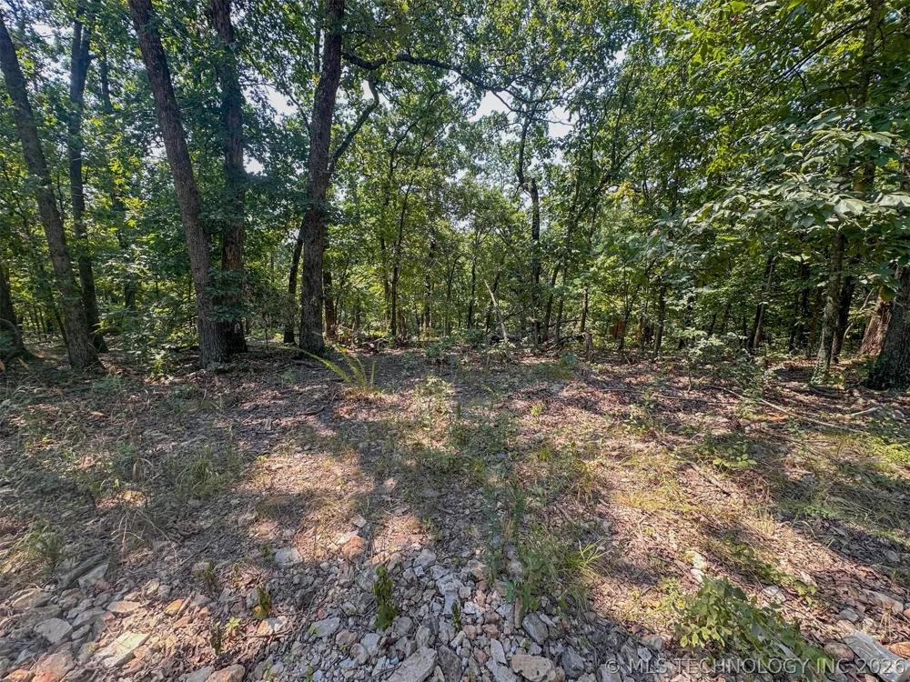 180 E Wyandotte Road Wyandotte, OK 74370