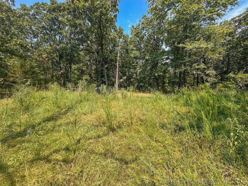 180 E Wyandotte Road Wyandotte, OK 74370