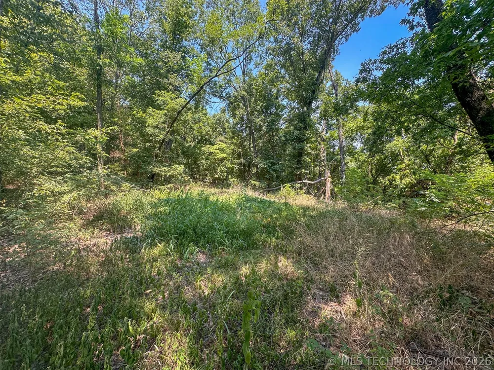 180 E Wyandotte Road Wyandotte, OK 74370