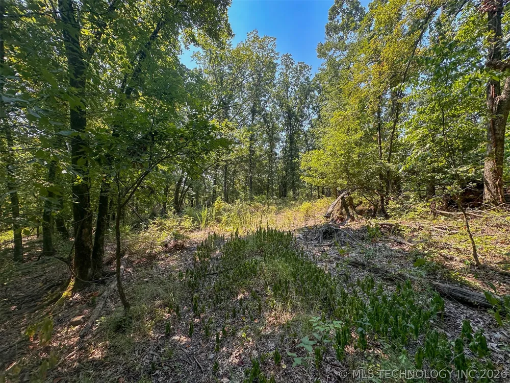 180 E Wyandotte Road Wyandotte, OK 74370