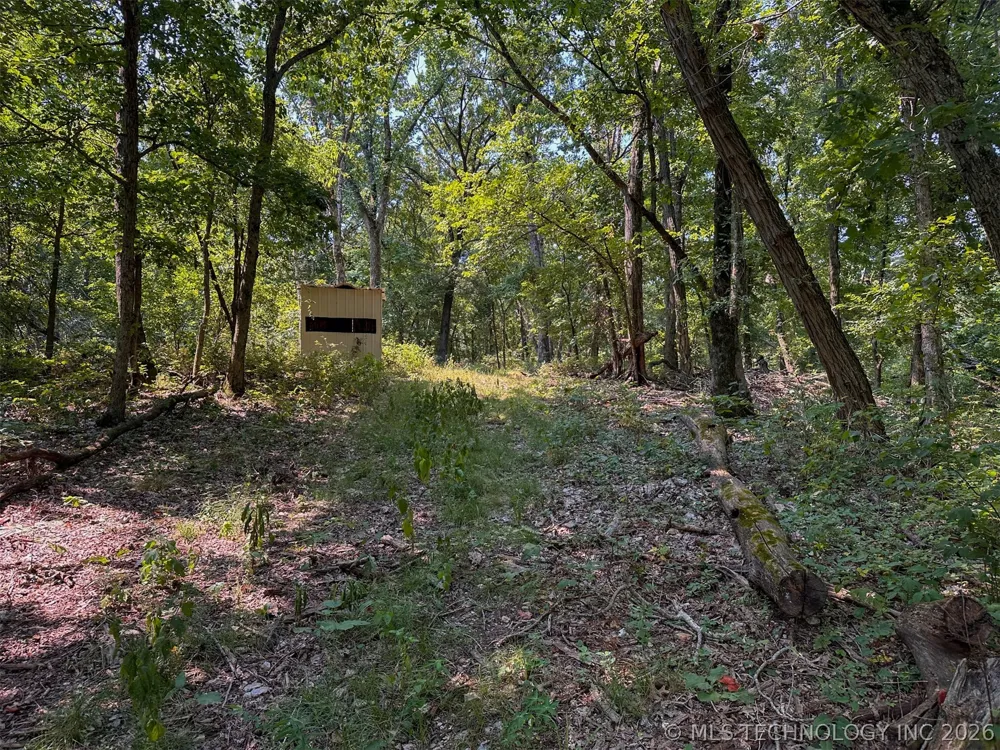 180 E Wyandotte Road Wyandotte, OK 74370