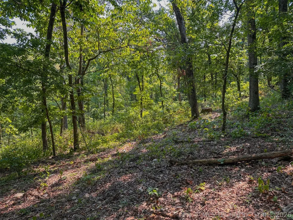 180 E Wyandotte Road Wyandotte, OK 74370