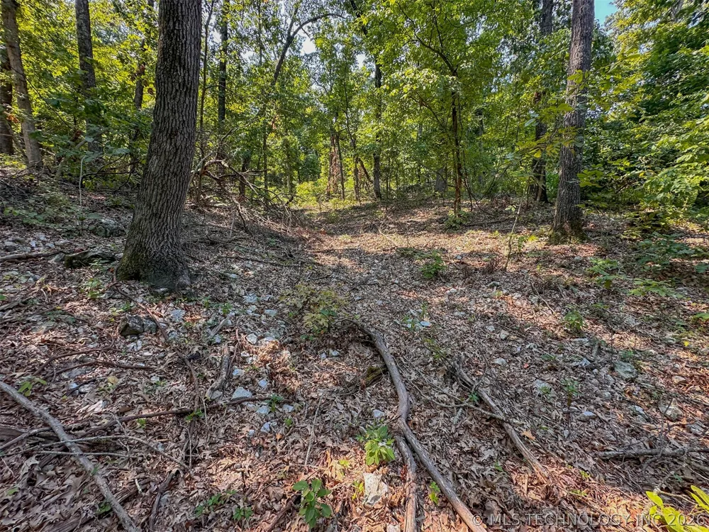 180 E Wyandotte Road Wyandotte, OK 74370
