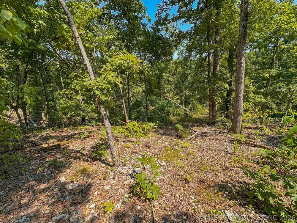 180 E Wyandotte Road Wyandotte, OK 74370