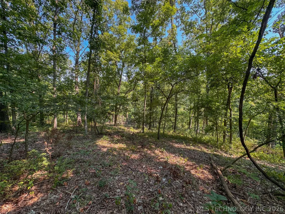 180 E Wyandotte Road Wyandotte, OK 74370