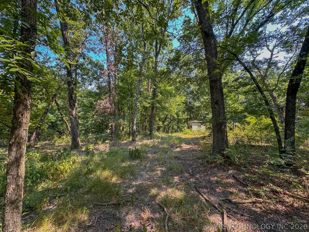 180 E Wyandotte Road Wyandotte, OK 74370