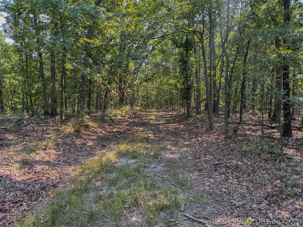 180 E Wyandotte Road Wyandotte, OK 74370