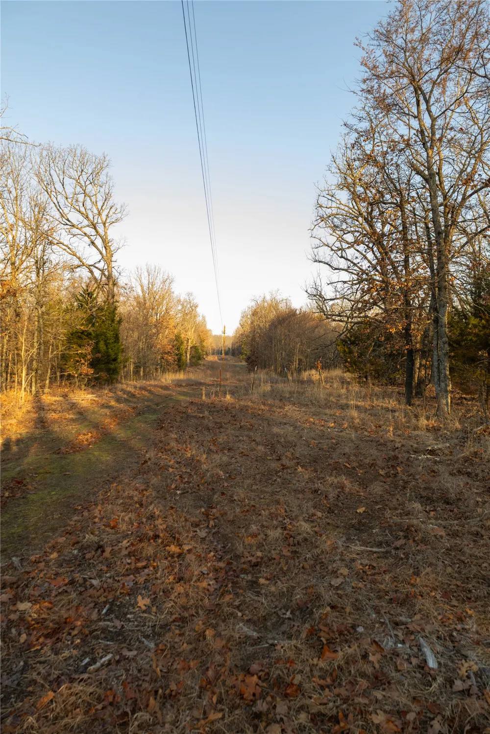 180 E Wyandotte Road Wyandotte, OK 74370