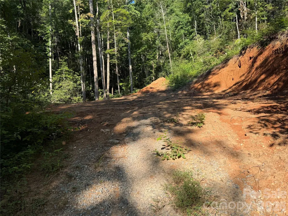 267 Cedar Falls Drive #7 Lake Lure, NC 28746