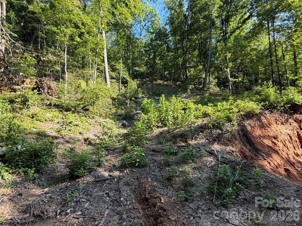 267 Cedar Falls Drive #7 Lake Lure, NC 28746
