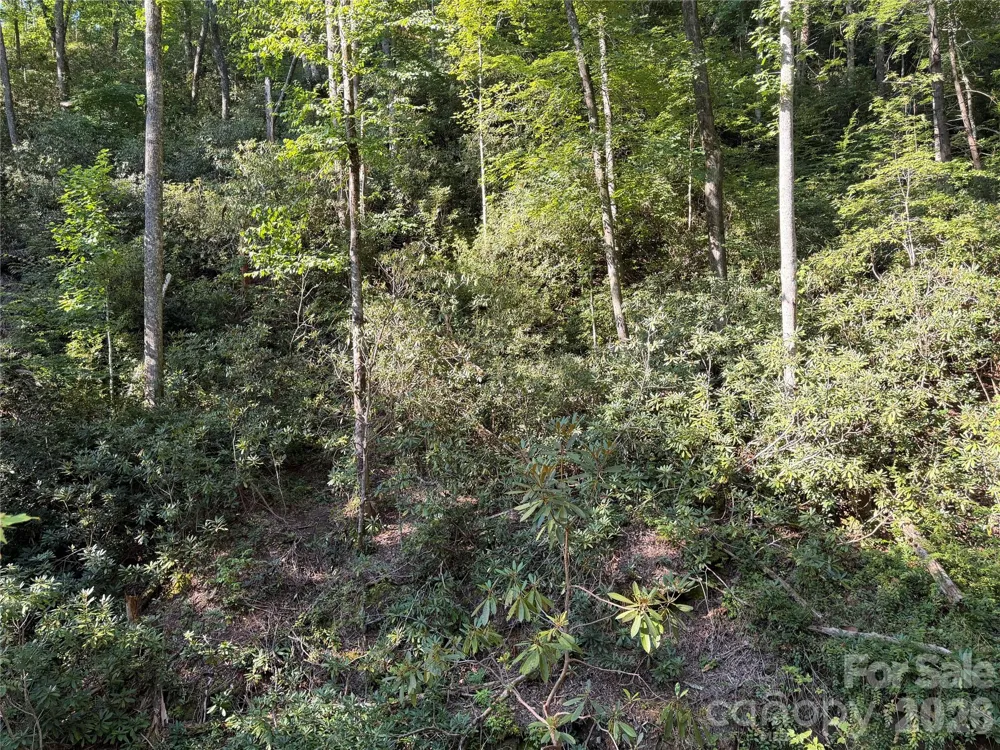267 Cedar Falls Drive #7 Lake Lure, NC 28746