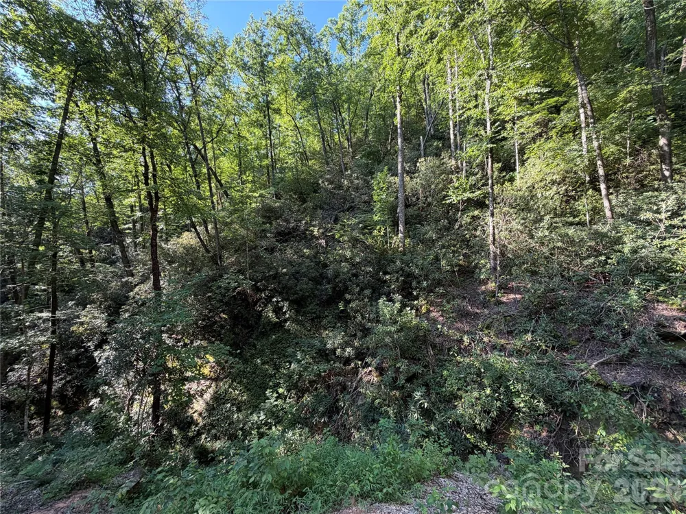 267 Cedar Falls Drive #7 Lake Lure, NC 28746