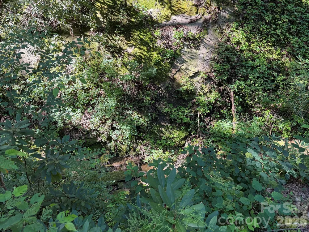 267 Cedar Falls Drive #7 Lake Lure, NC 28746