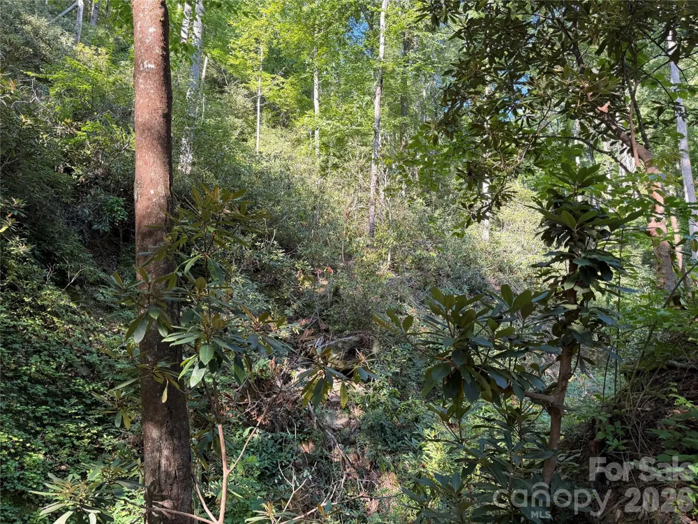267 Cedar Falls Drive #7 Lake Lure, NC 28746