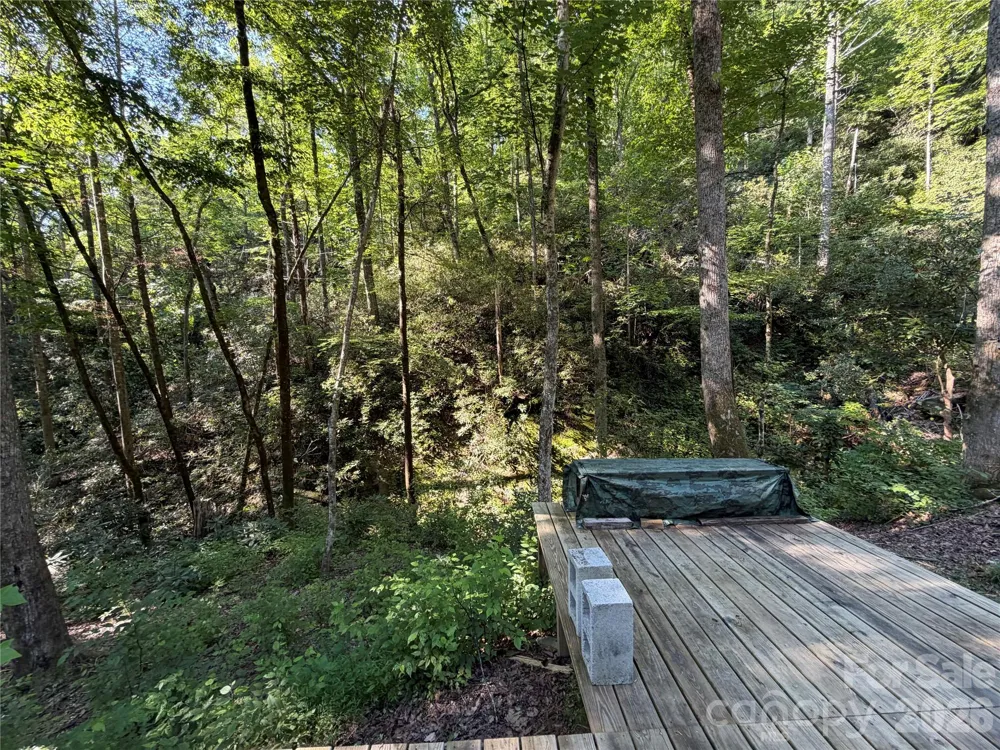 267 Cedar Falls Drive #7 Lake Lure, NC 28746