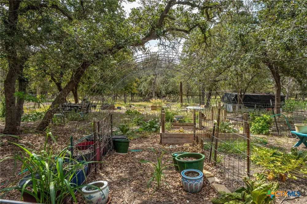 520 Turkey Tree Trail Seguin, TX 78155