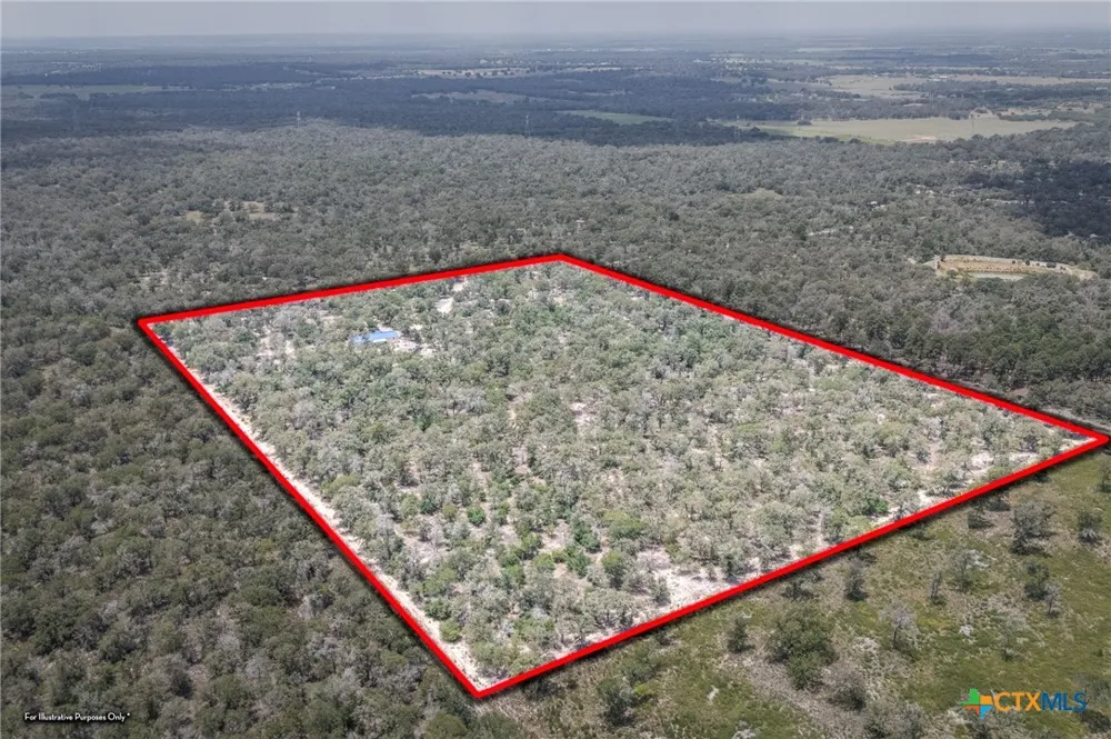 520 Turkey Tree Trail Seguin, TX 78155