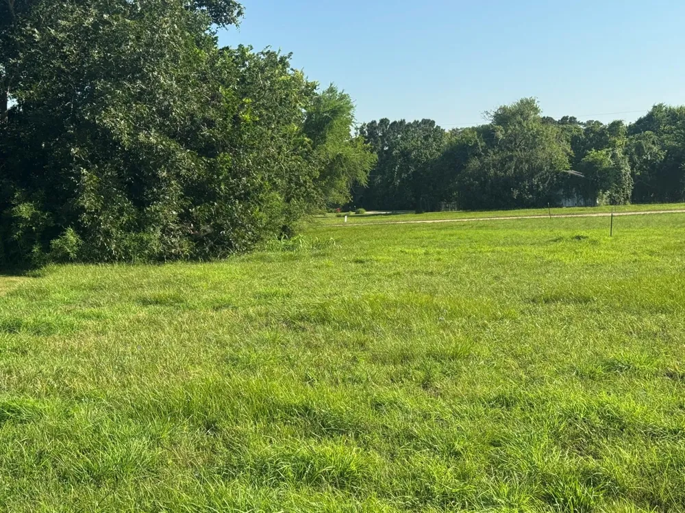 Osprey Street Palacios, TX 77465