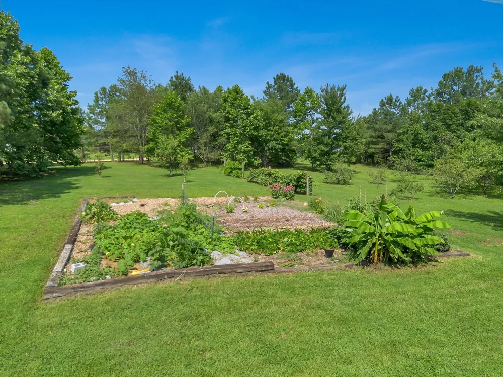 3534 Summertown Hwy Summertown, TN 38483