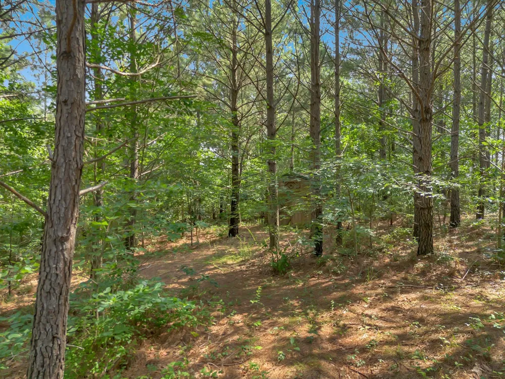3534 Summertown Hwy Summertown, TN 38483
