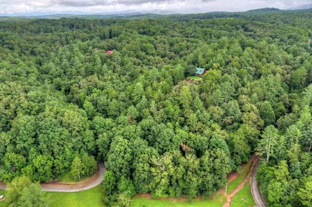 LOT 5B Toccoa River Forest Mineral Bluff, GA 30559
