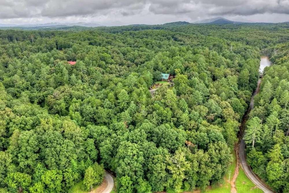 LOT 5B Toccoa River Forest Mineral Bluff, GA 30559