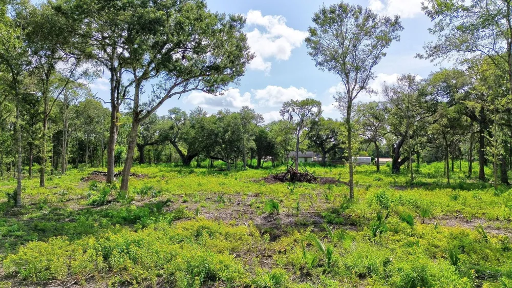 708 W Smith Street Brazoria, TX 77422