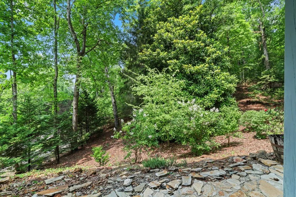 27 Dogwood Hollar Lane Hayesville, NC 28904