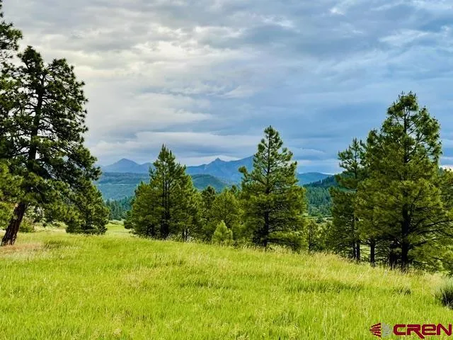 119 La Ventana Pl Pagosa Springs, CO 81147