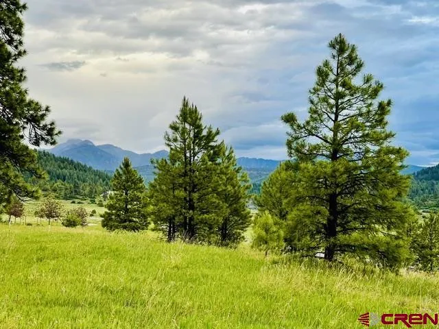 119 La Ventana Pl Pagosa Springs, CO 81147