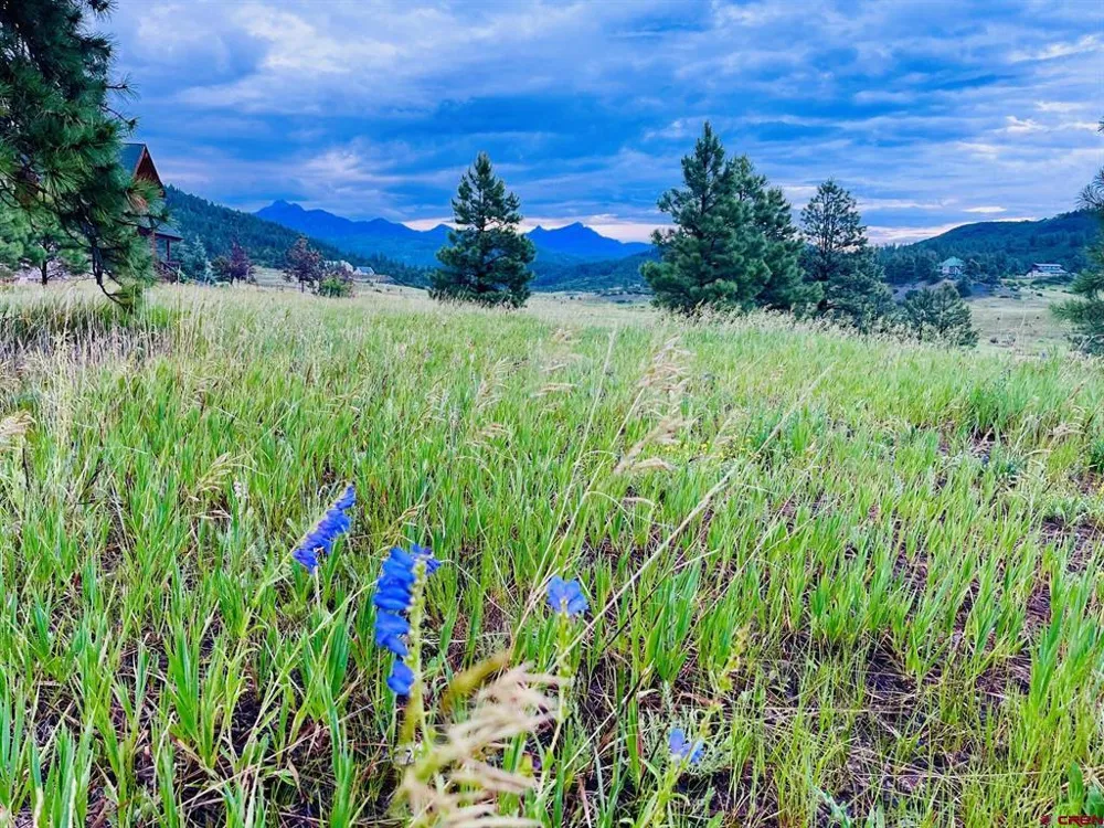 119 La Ventana Pl Pagosa Springs, CO 81147