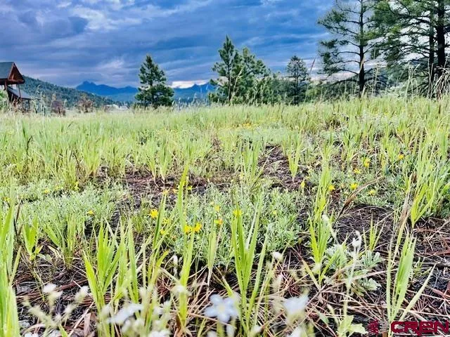 119 La Ventana Pl Pagosa Springs, CO 81147