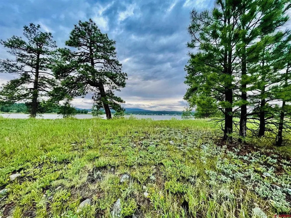 119 La Ventana Pl Pagosa Springs, CO 81147