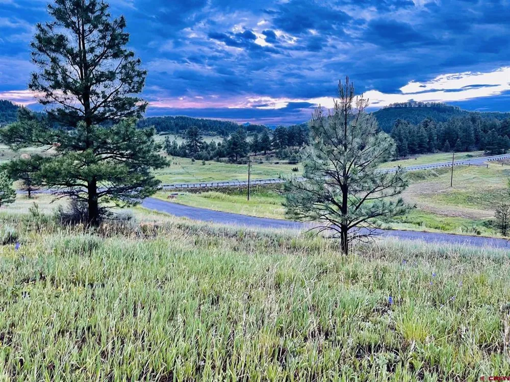 119 La Ventana Pl Pagosa Springs, CO 81147