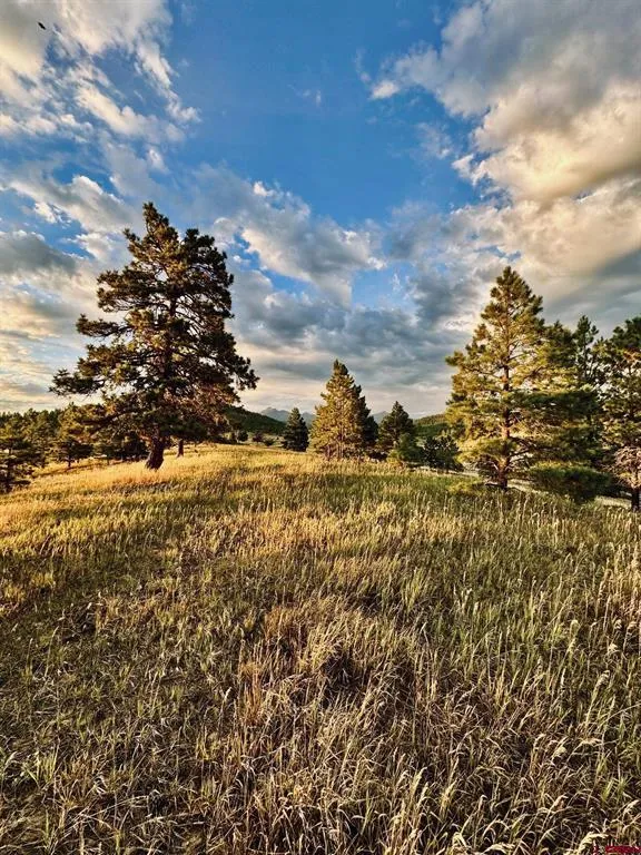 119 La Ventana Pl Pagosa Springs, CO 81147