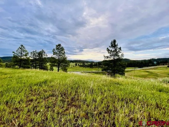 119 La Ventana Pl Pagosa Springs, CO 81147