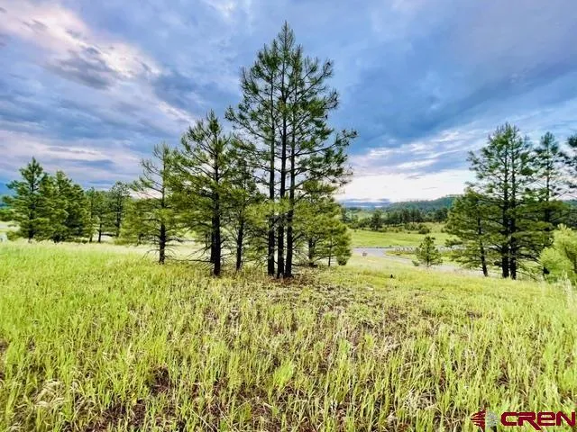 119 La Ventana Pl Pagosa Springs, CO 81147