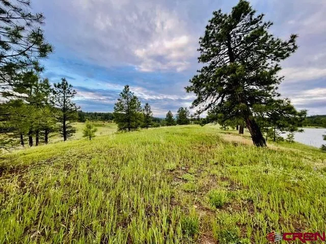 119 La Ventana Pl Pagosa Springs, CO 81147