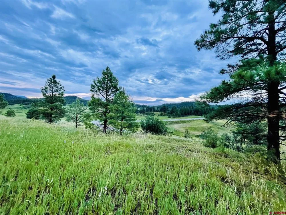 119 La Ventana Pl Pagosa Springs, CO 81147