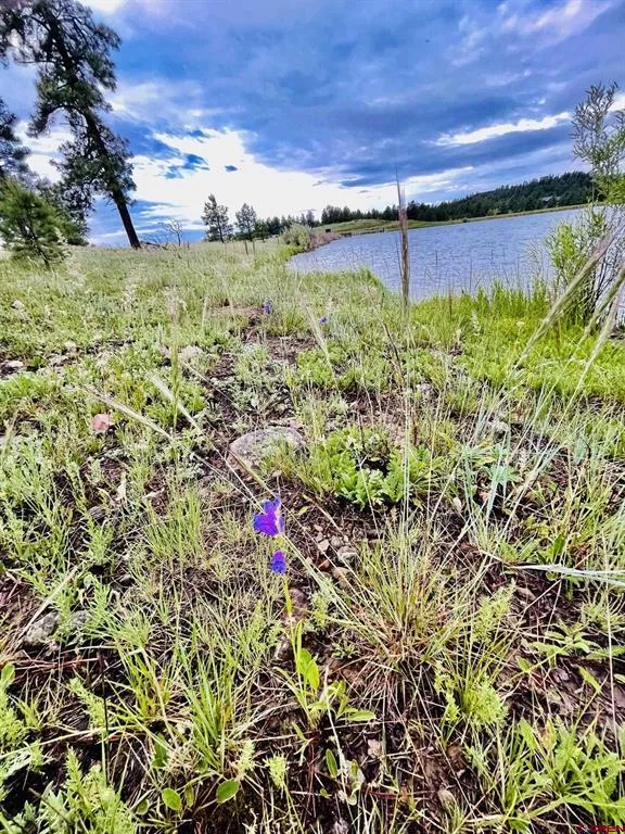 119 La Ventana Pl Pagosa Springs, CO 81147