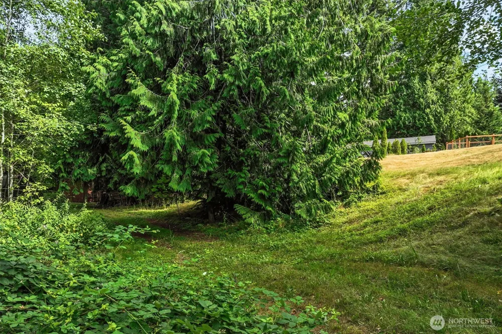 1215 244th Avenue NE Sammamish, WA 98074